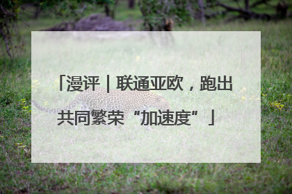 漫评｜联通亚欧，跑出共同繁荣“加速度”